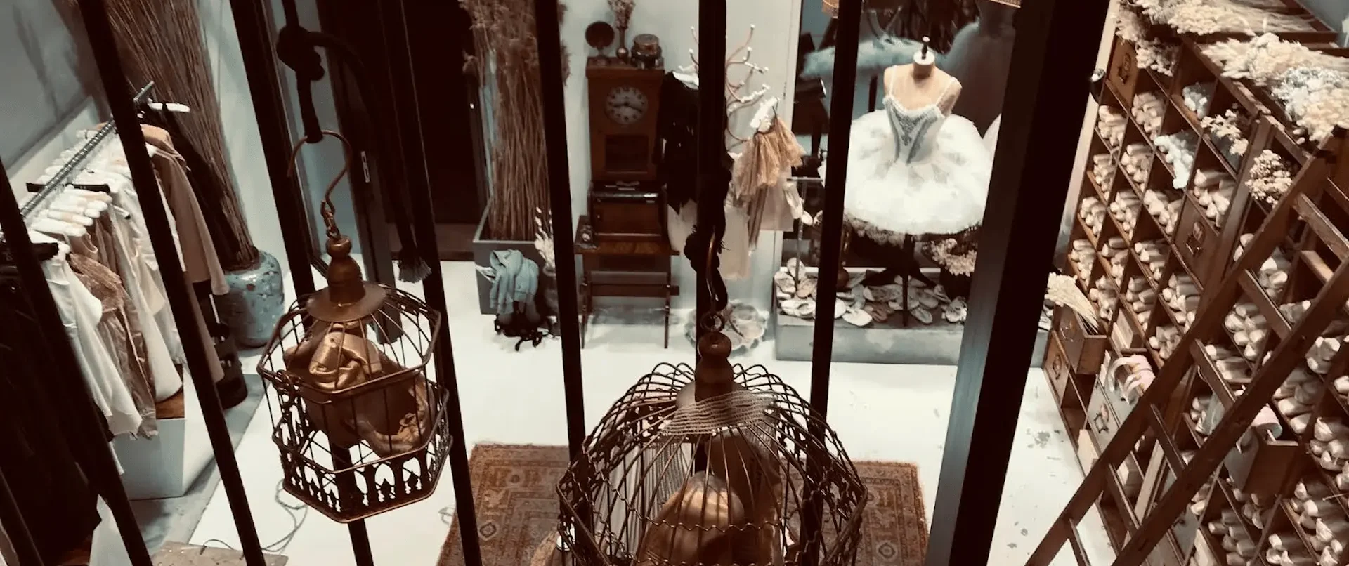 00006birdsofparadise